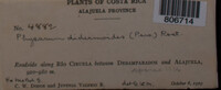 Image Associated With the Occurence